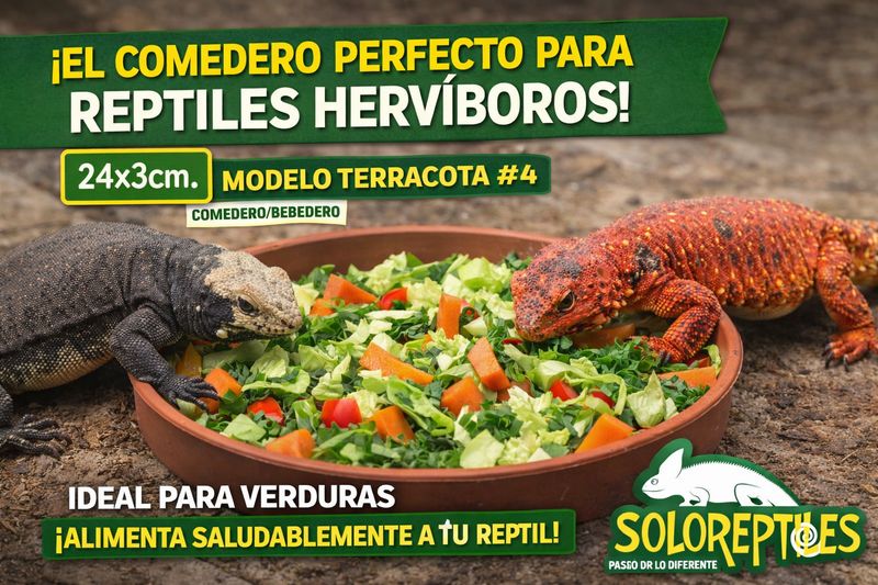 COMEDERO TERRACOTA #4 24x3cm