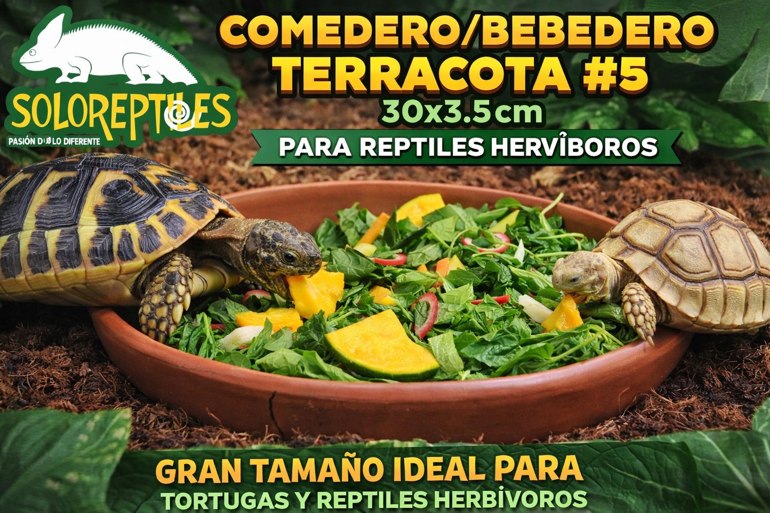 COMEDERO TERRACOTA #5 30X3.5cm