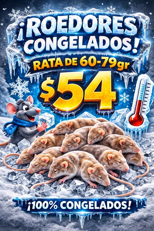 ROEDOR CONGELADO RATA 60-79gr