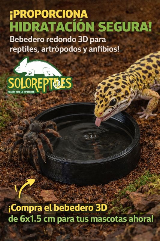 BEBEDERO  REDONDO IMPRESIÓN 3D