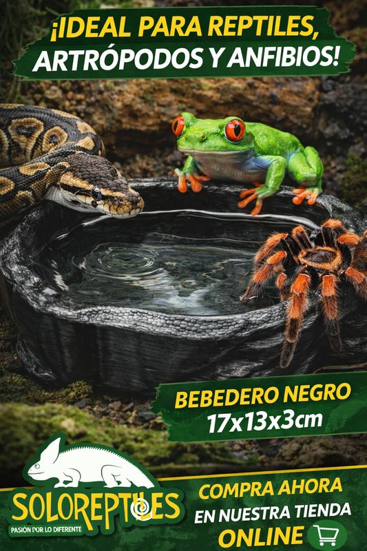 BEBEDERO NEGRO  IMPRESIÓN 3D 17X13X3cm