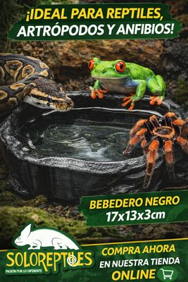 BEBEDERO NEGRO  IMPRESIÓN 3D 17X13X3cm