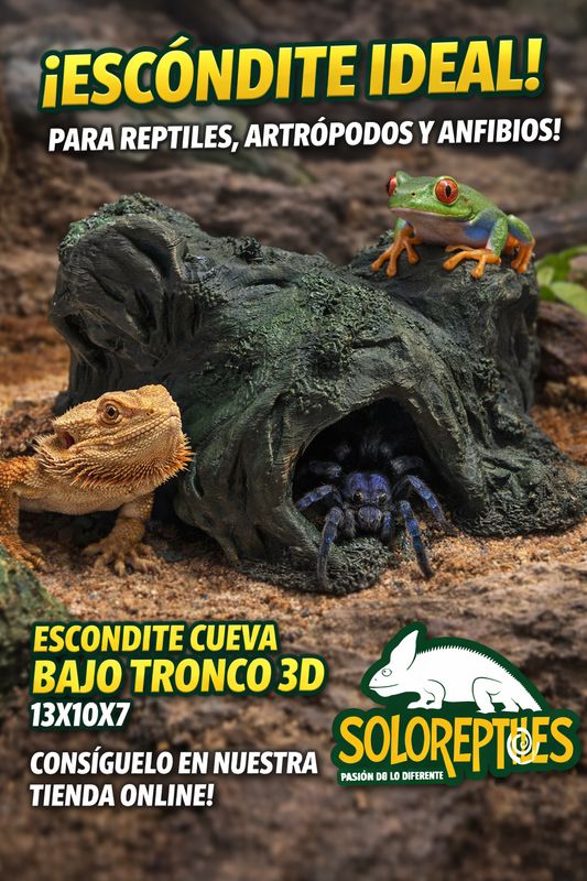 ESCONDITE  CUEVA BAJO TRONCO 3D