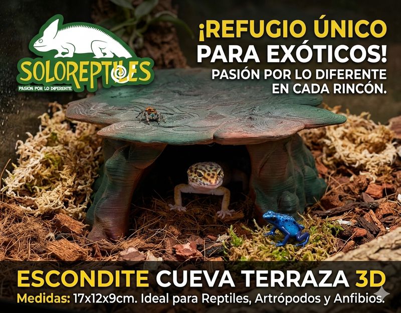 ESCONDITE CUEVA TERRAZA