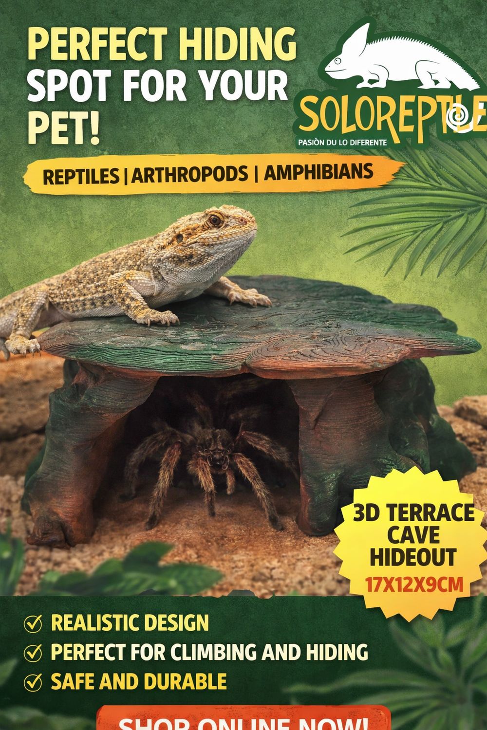 ESCONDITE CUEVA TERRAZA