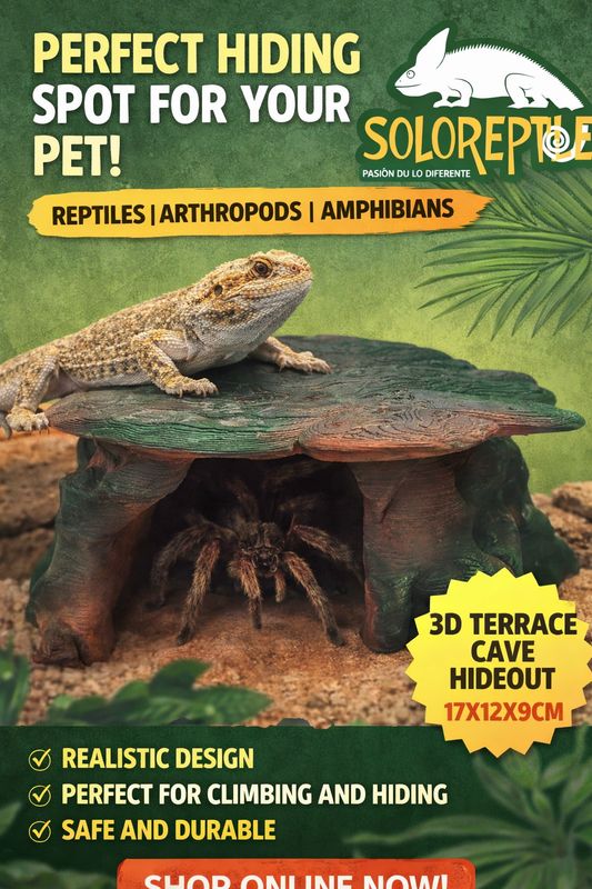 ESCONDITE CUEVA TERRAZA