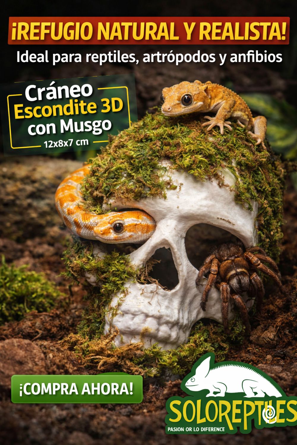 ESCONDITE CALAVERA CHICO IMPRESIÓN 3D CON MUSGO