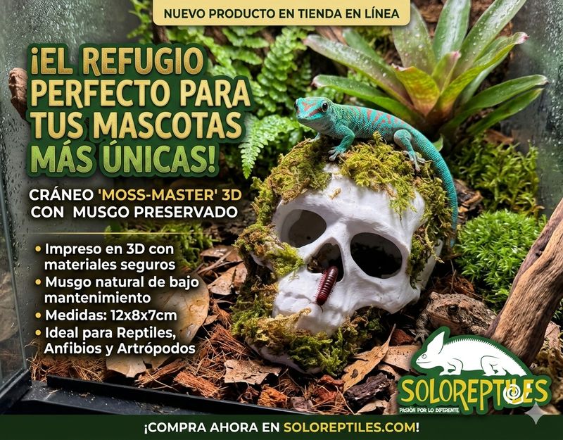ESCONDITE CALAVERA CHICO IMPRESIÓN 3D CON MUSGO