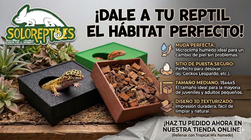 ESCONDITE HUMEDO 3D MEDIANO