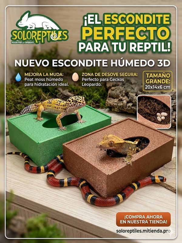 ESCONDITE HUMEDO 3D GRANDE