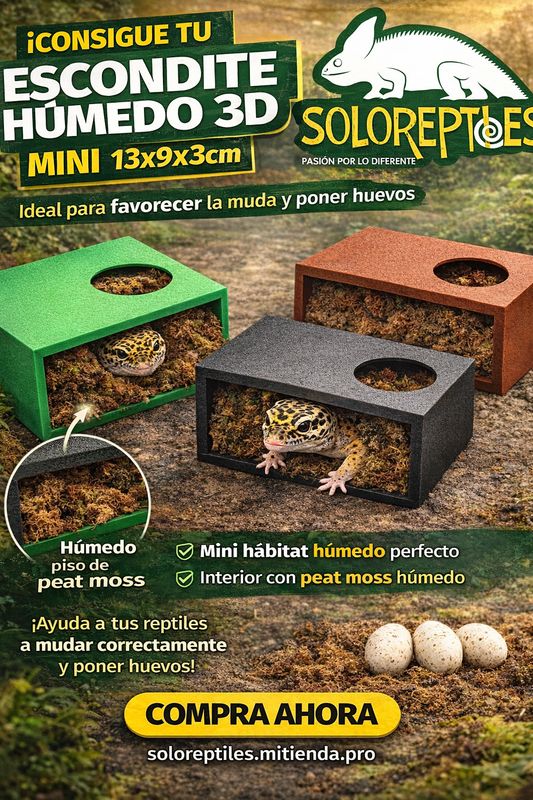 ESCONDITE HUMEDO 3D MINI