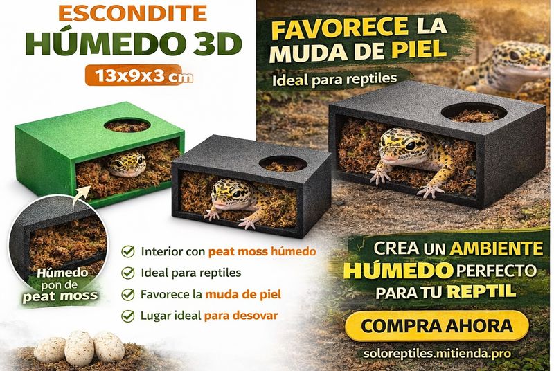 ESCONDITE HUMEDO 3D MINI