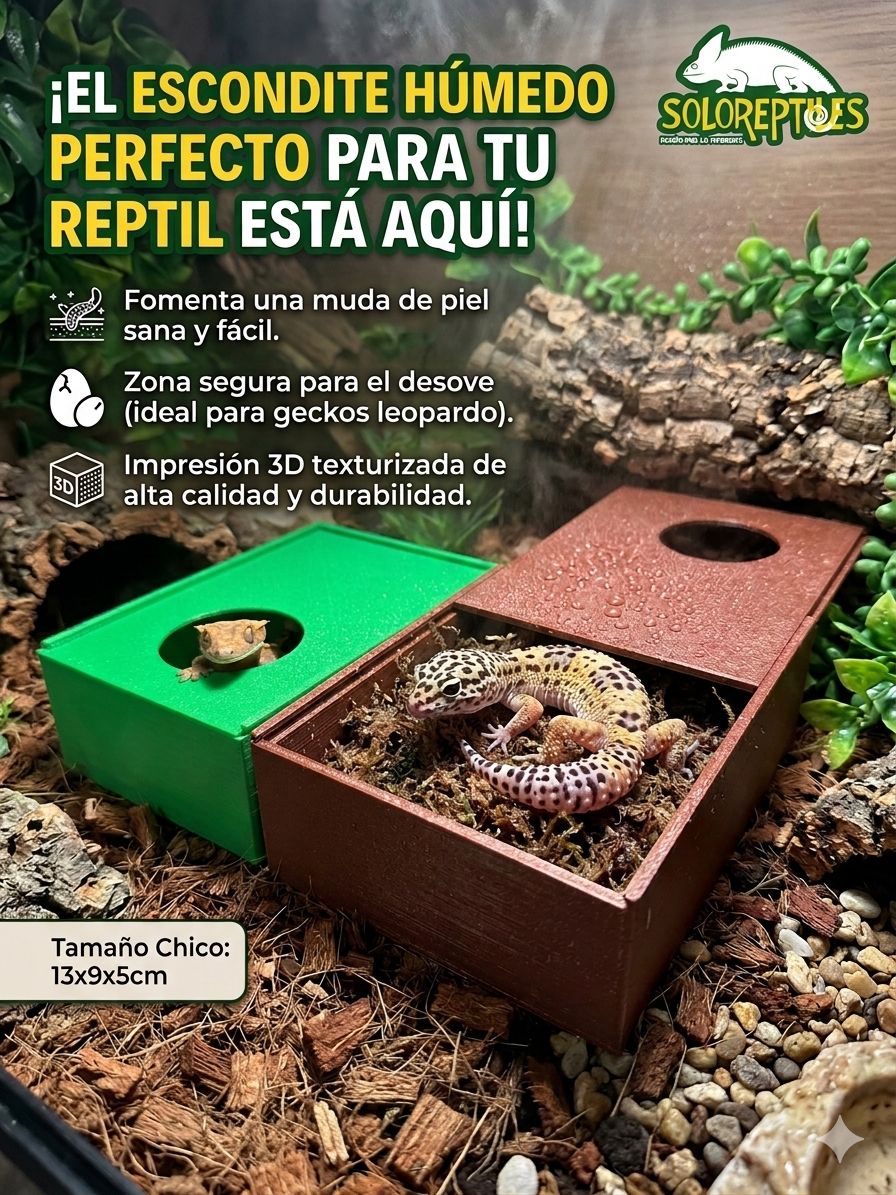 ESCONDITE HUMEDO 3D CHICO