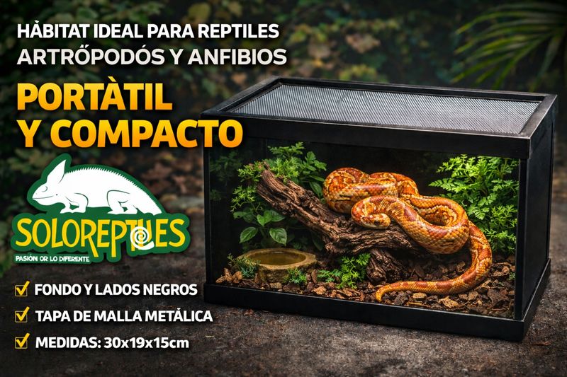 TERRARIO PECERA  CHICA 10 LT 30X19X15