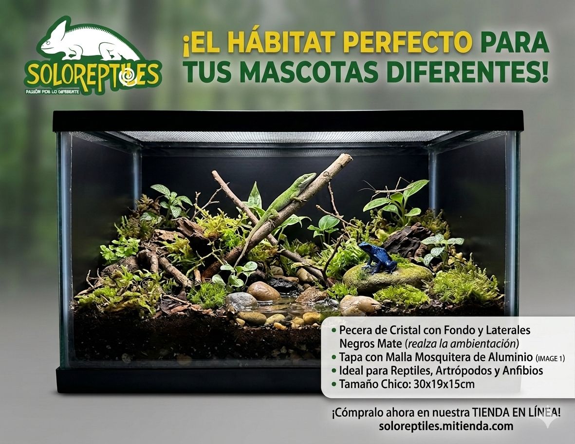 TERRARIO PECERA  CHICA 10 LT 30X19X15