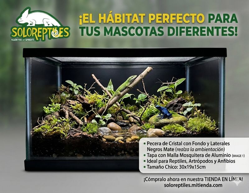 TERRARIO PECERA  CHICA 10 LT 30X19X15