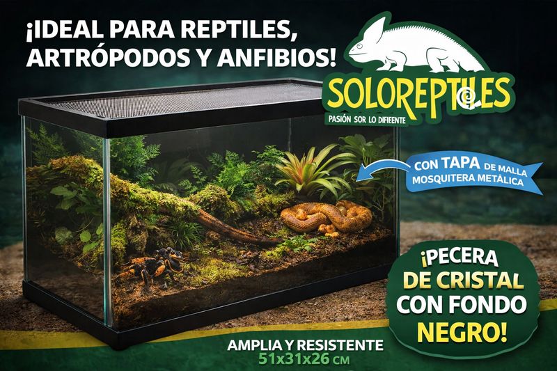 TERRARIO PECERA GRANDE 40 LT 53X30X26