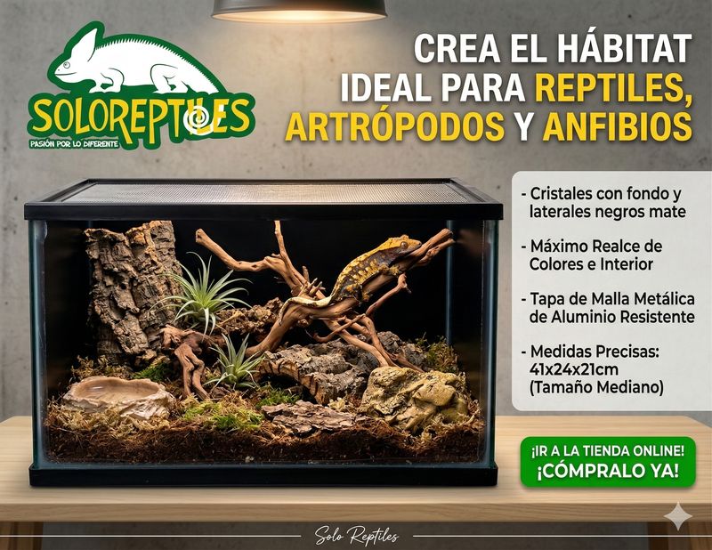TERRARIO PECERA MEDIANA 20 LT 40X24X22
