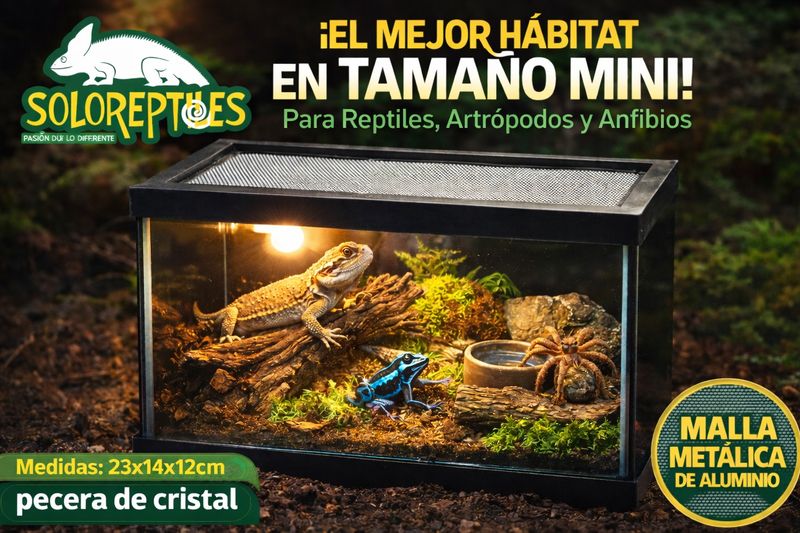 TERRARIO PECERA MINI  5LT 23X14X12