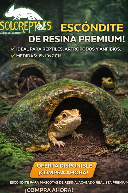 ESCONDITE  DE RESINA ACABADO PREMIUM CHICO