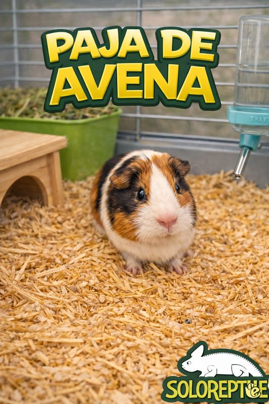 PAJA DE ALFALFA
