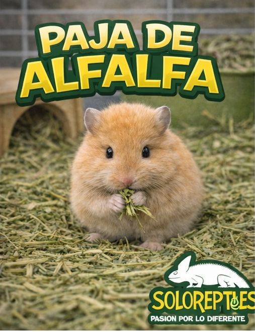 PAJA DE ALFALFA