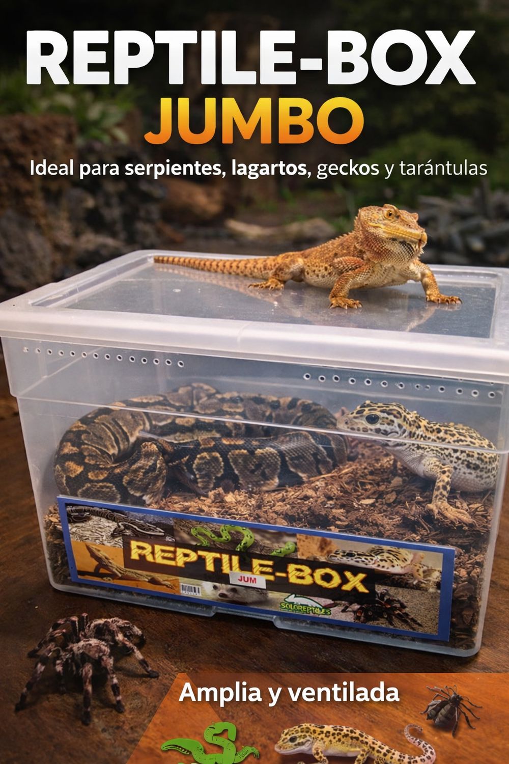 REPTIL BOX JUMBO