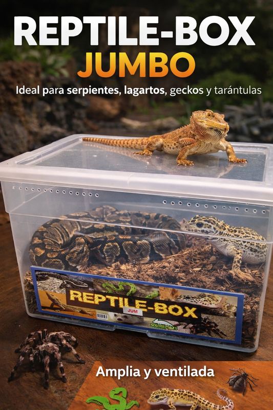 REPTIL BOX JUMBO