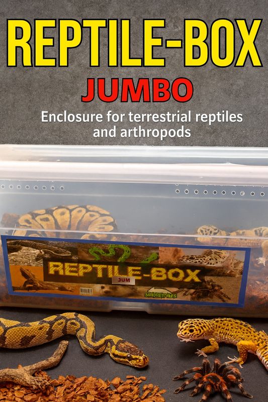 REPTIL BOX JUMBO