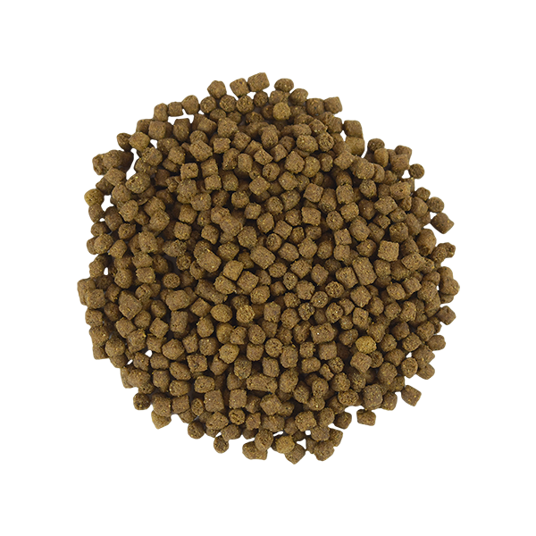 ALIMENTO PREMIUM PARA ERIZOS 800gr