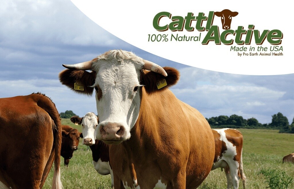 Pro Earth CattlActive 250lb