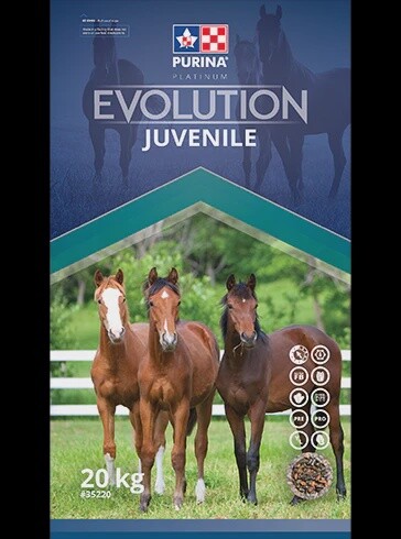 Purina Evolution Juvenile- 20kg