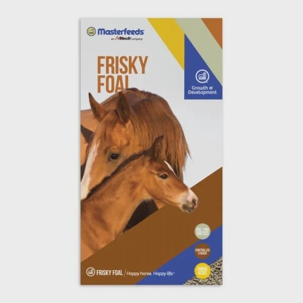 Masterfeeds 17% Frisky Foal Pellets- 25kg