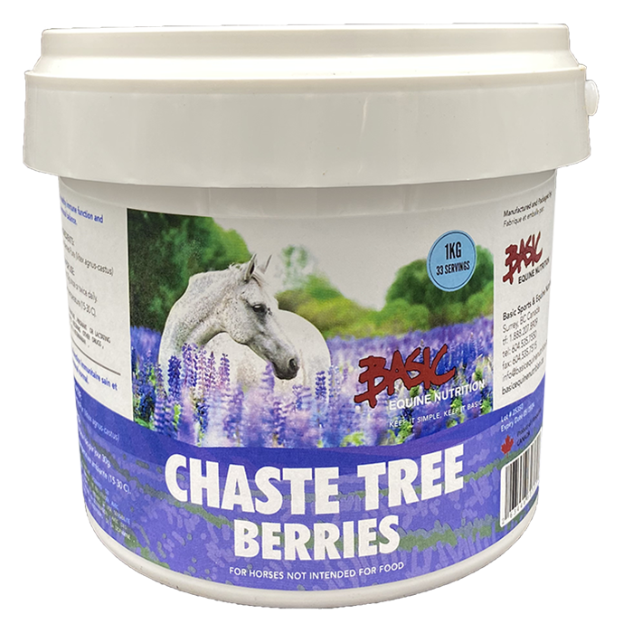 Chaste Tree Berries Powder- 1 kg