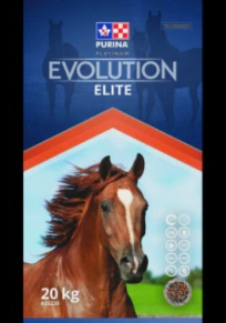 Equine