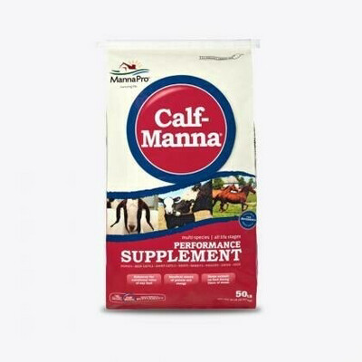 Cattle