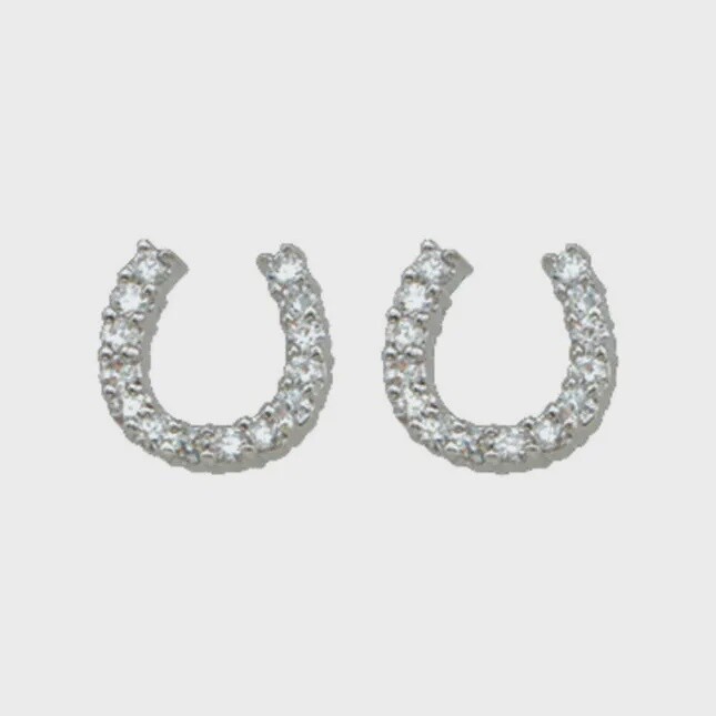 Tiny Rider Post Earrings