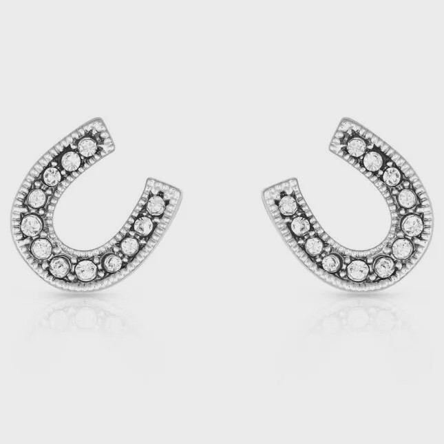 Crystal Clear Stuck on Luck Post Earrings