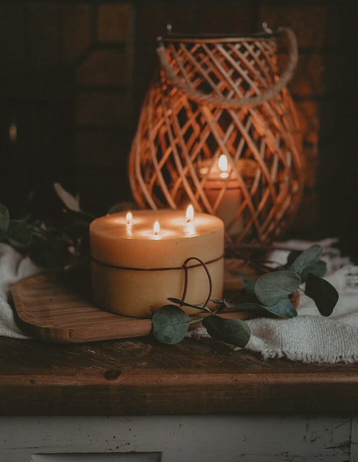 Wild Hive 3 Wick Circle Candle