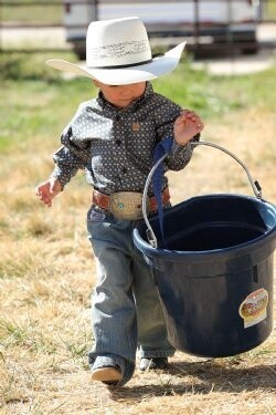 CINCH INFANT MATCH DAD MEDALLION PRINT BUTTON-DOWN WESTERN SHIRT - NAVY / GOLD