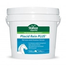 Stance Equitec Placid Rein