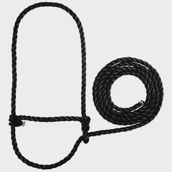 Rope Halter, Calf