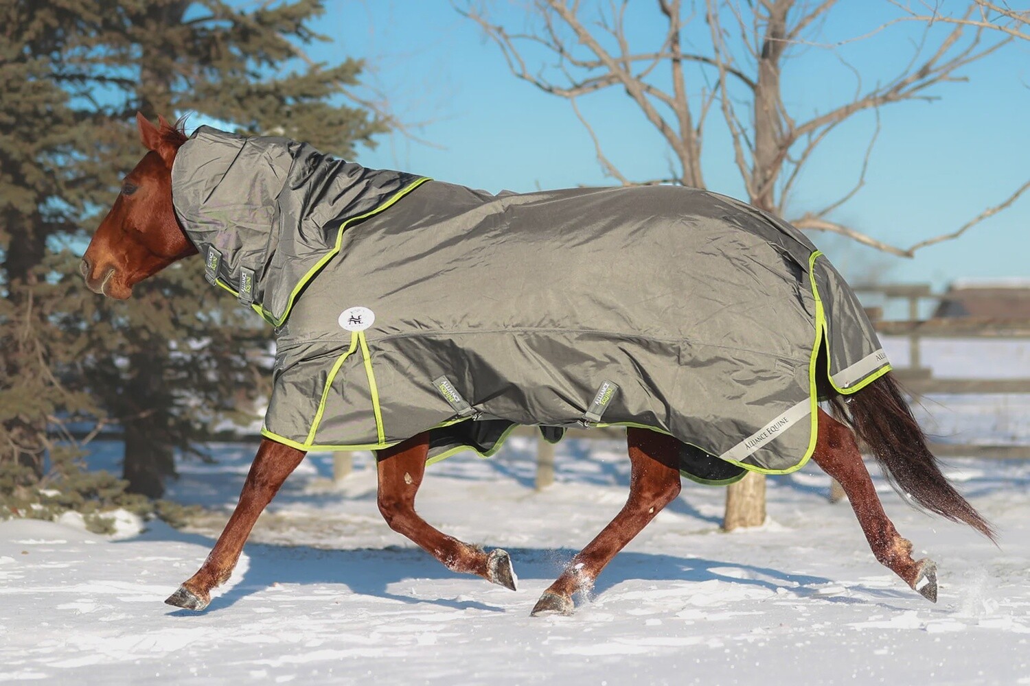 Alliance Equine Lux Winter Blanket