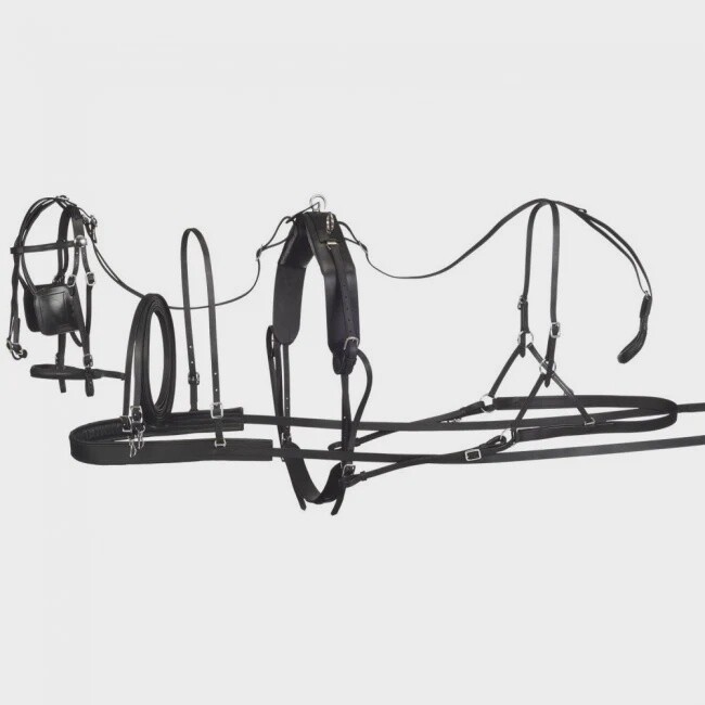 Pony Harness