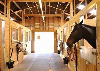 Barn Supplies