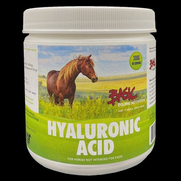 Hyaluronic Acid 99% 300g