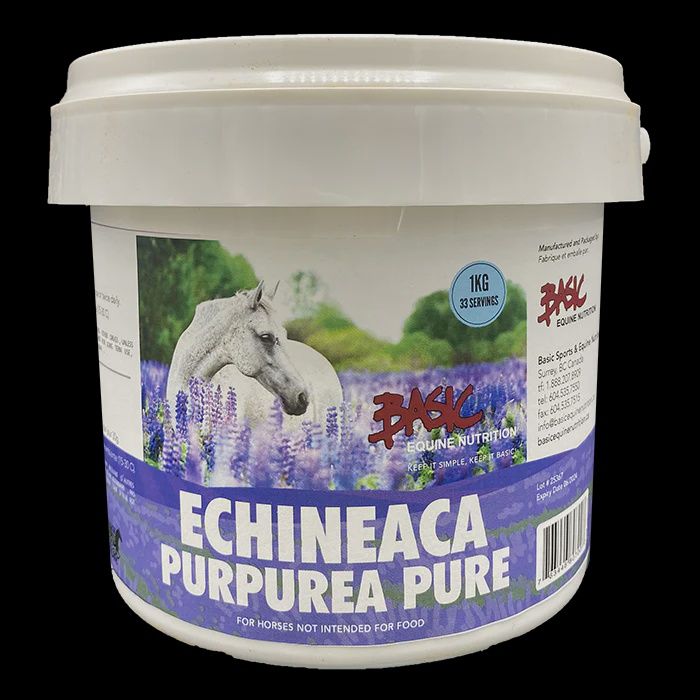 Echinacea Pure - 1 Kg