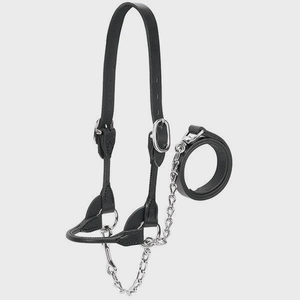 Weaver Dairy/Beef Rounded Show Halter