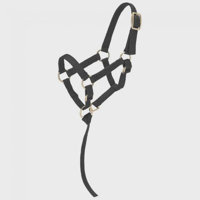 Miniature Horse Halter