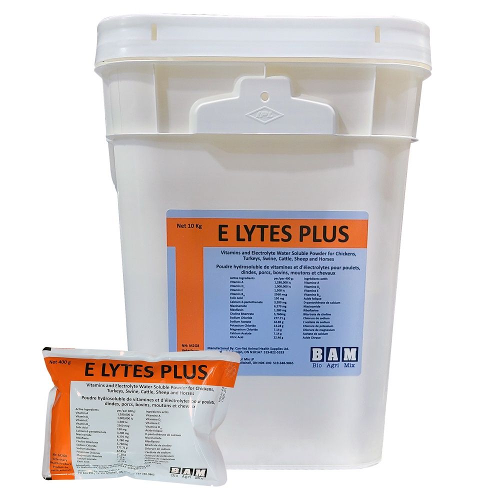 E Lytes Plus